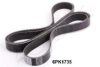 ASHIKA 112-6PK1735 V-Ribbed Belts